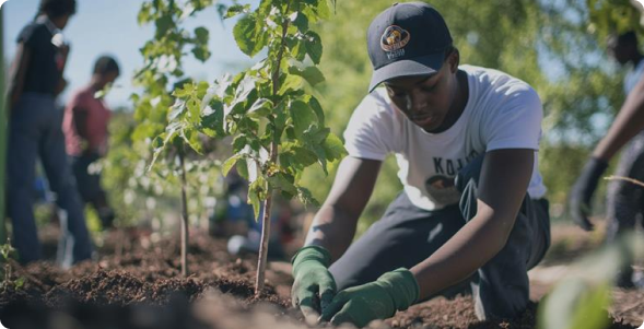 Britam Website Join Us